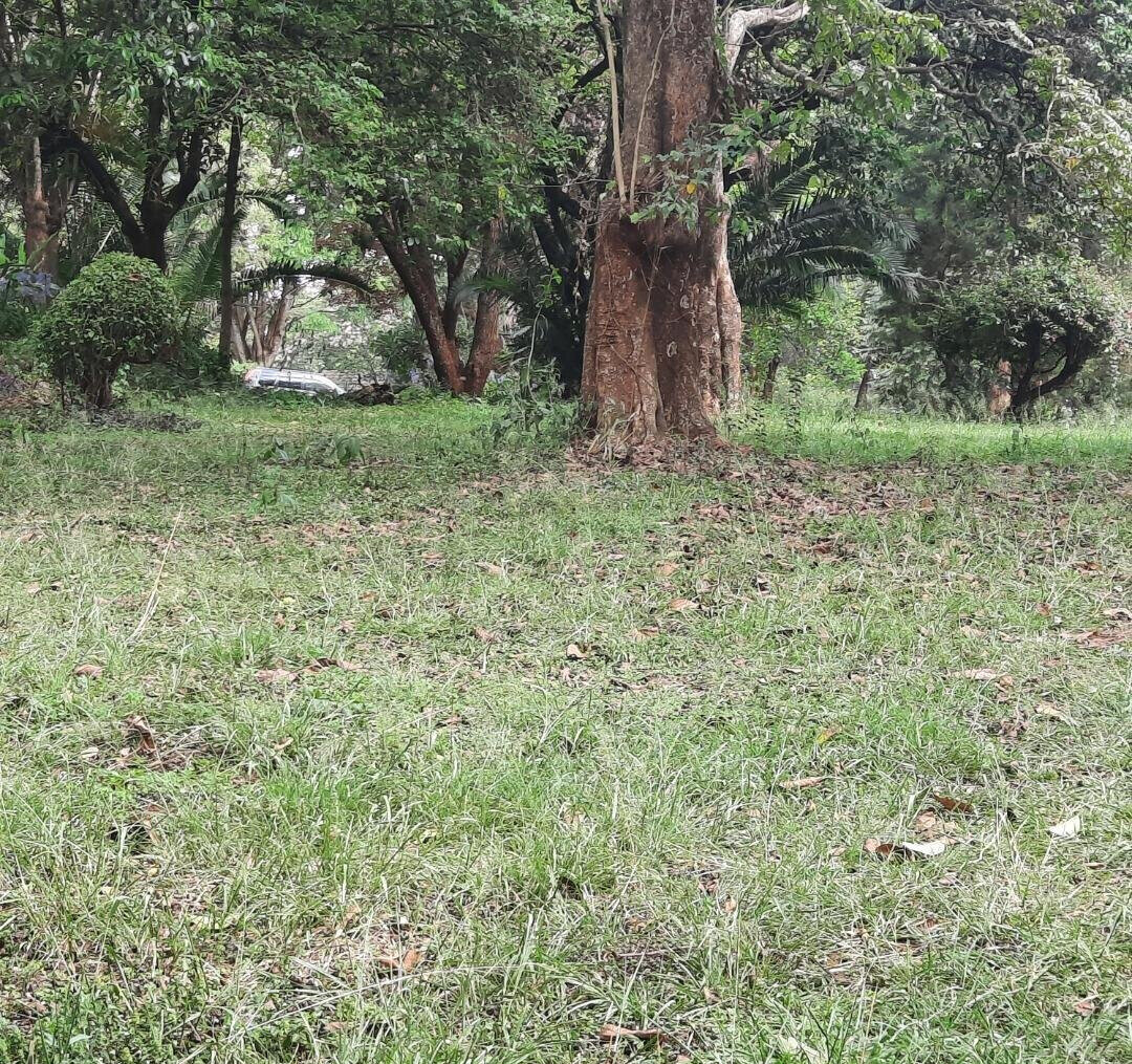 1-Acre Muthaiga Plot at KSh 175M