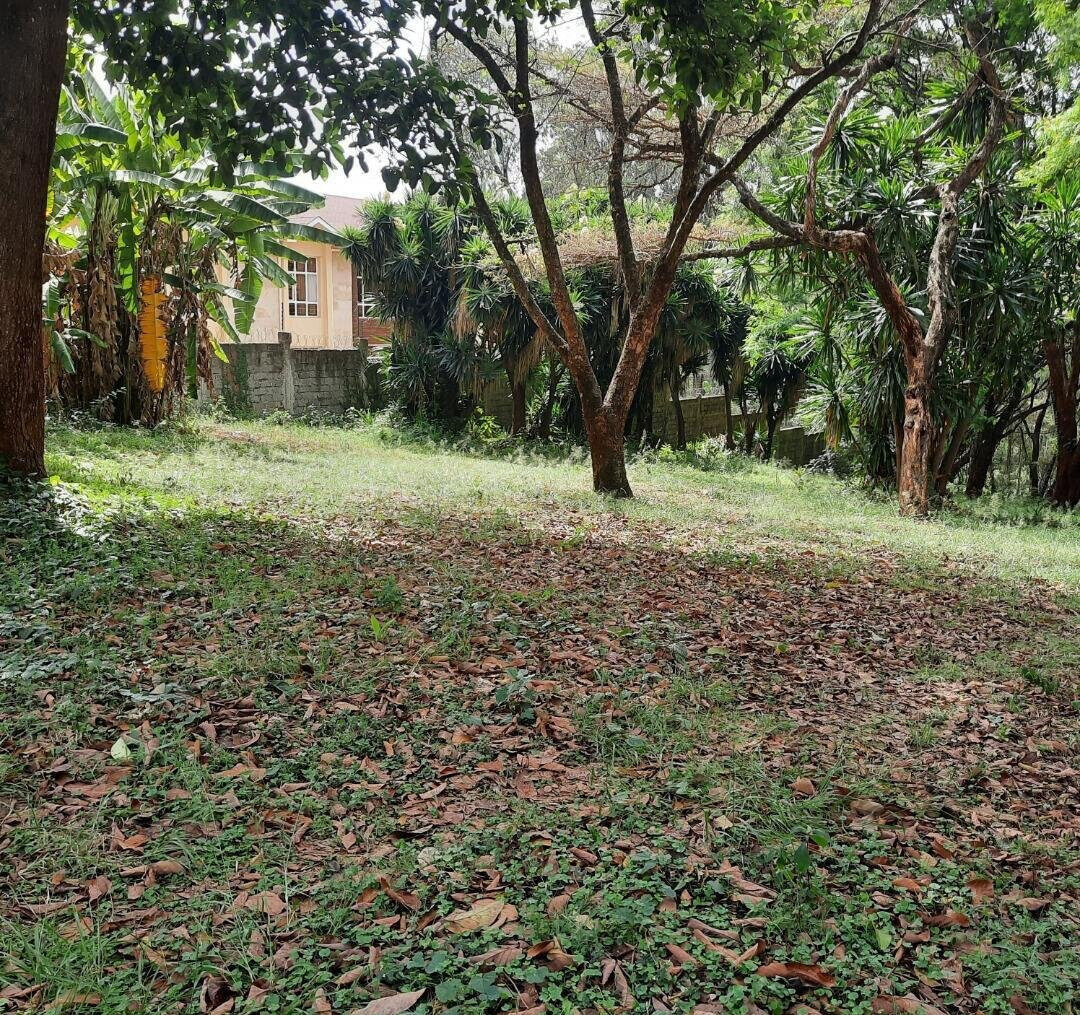 1-Acre Muthaiga Plot at KSh 175M