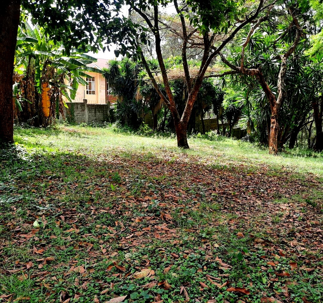 1-Acre Muthaiga Plot at KSh 175M