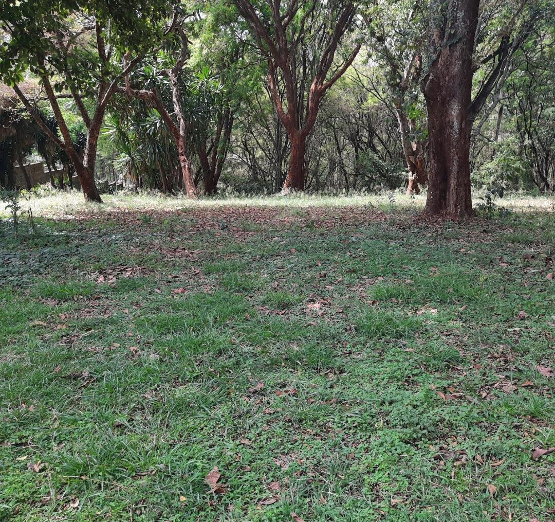 1-Acre Muthaiga Plot at KSh 175M
