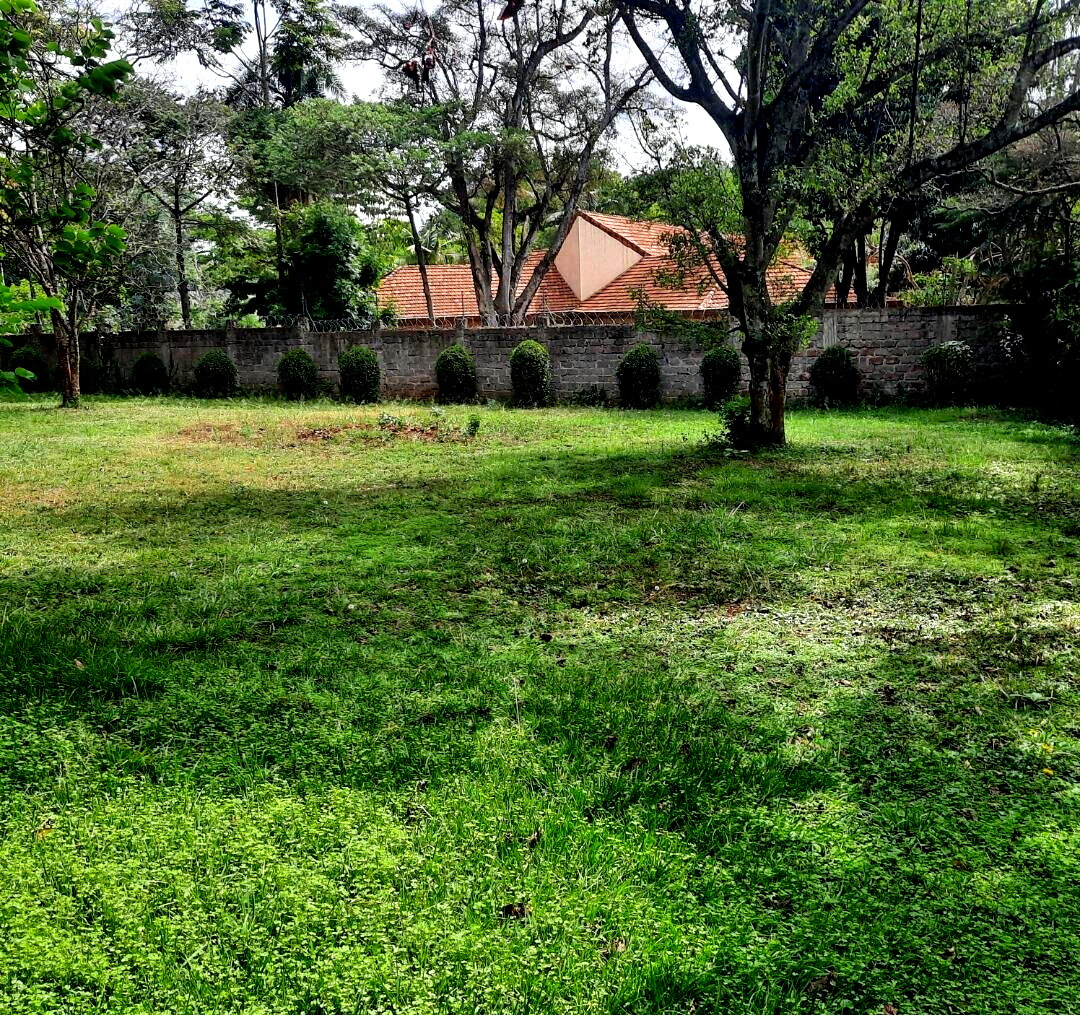 1-Acre Muthaiga Plot at KSh 175M