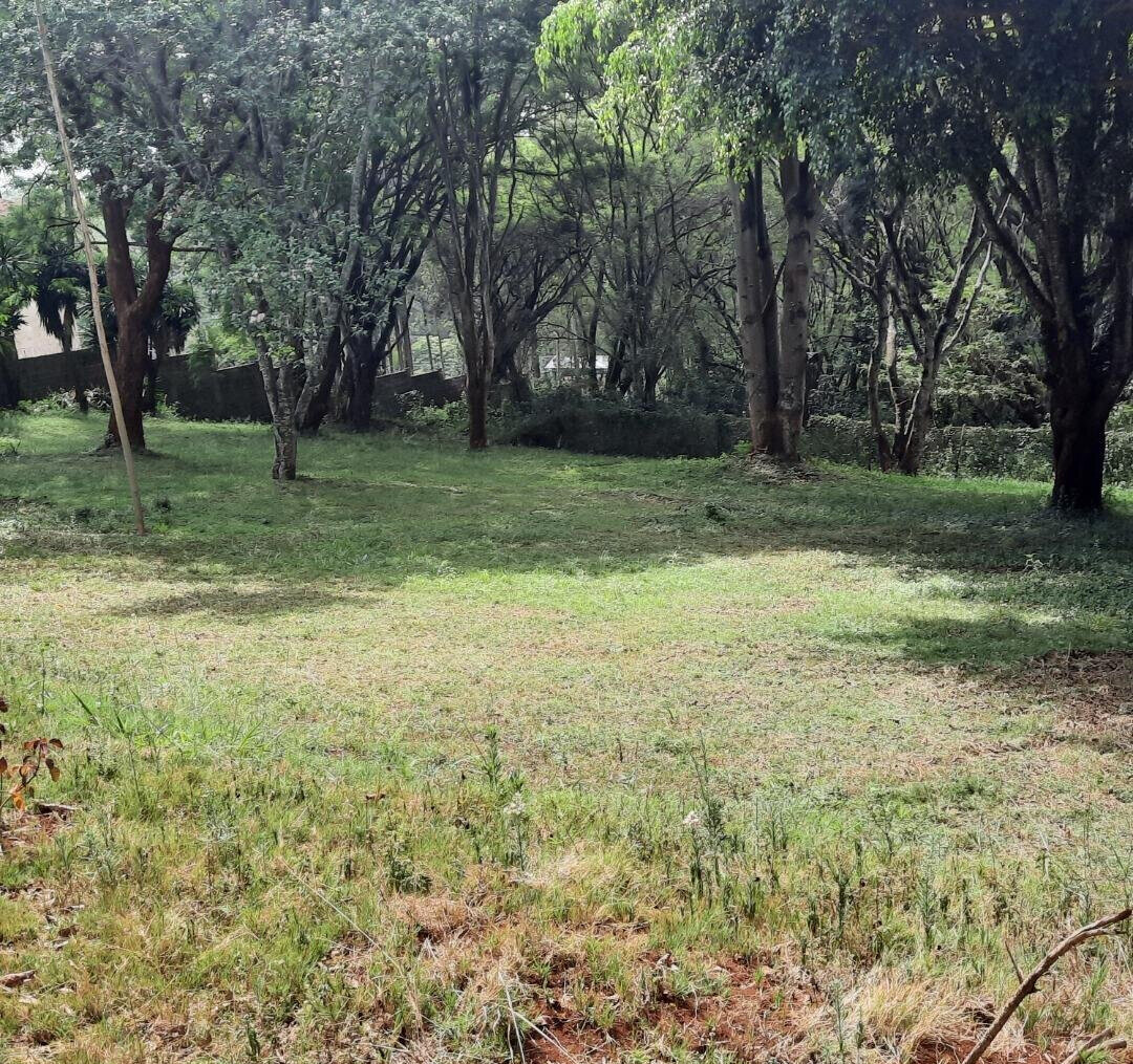1-Acre Muthaiga Plot at KSh 175M
