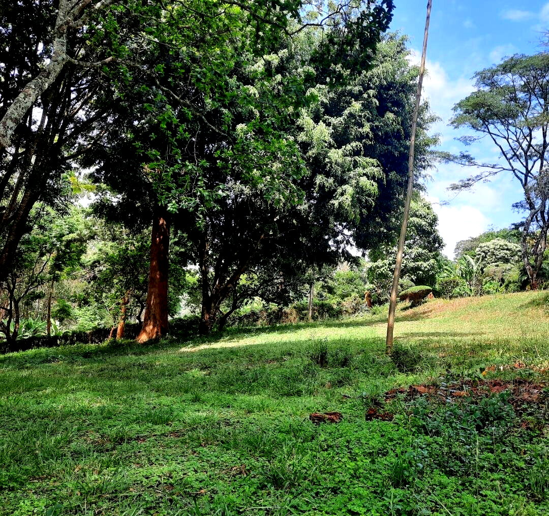 1-Acre Muthaiga Plot at KSh 175M