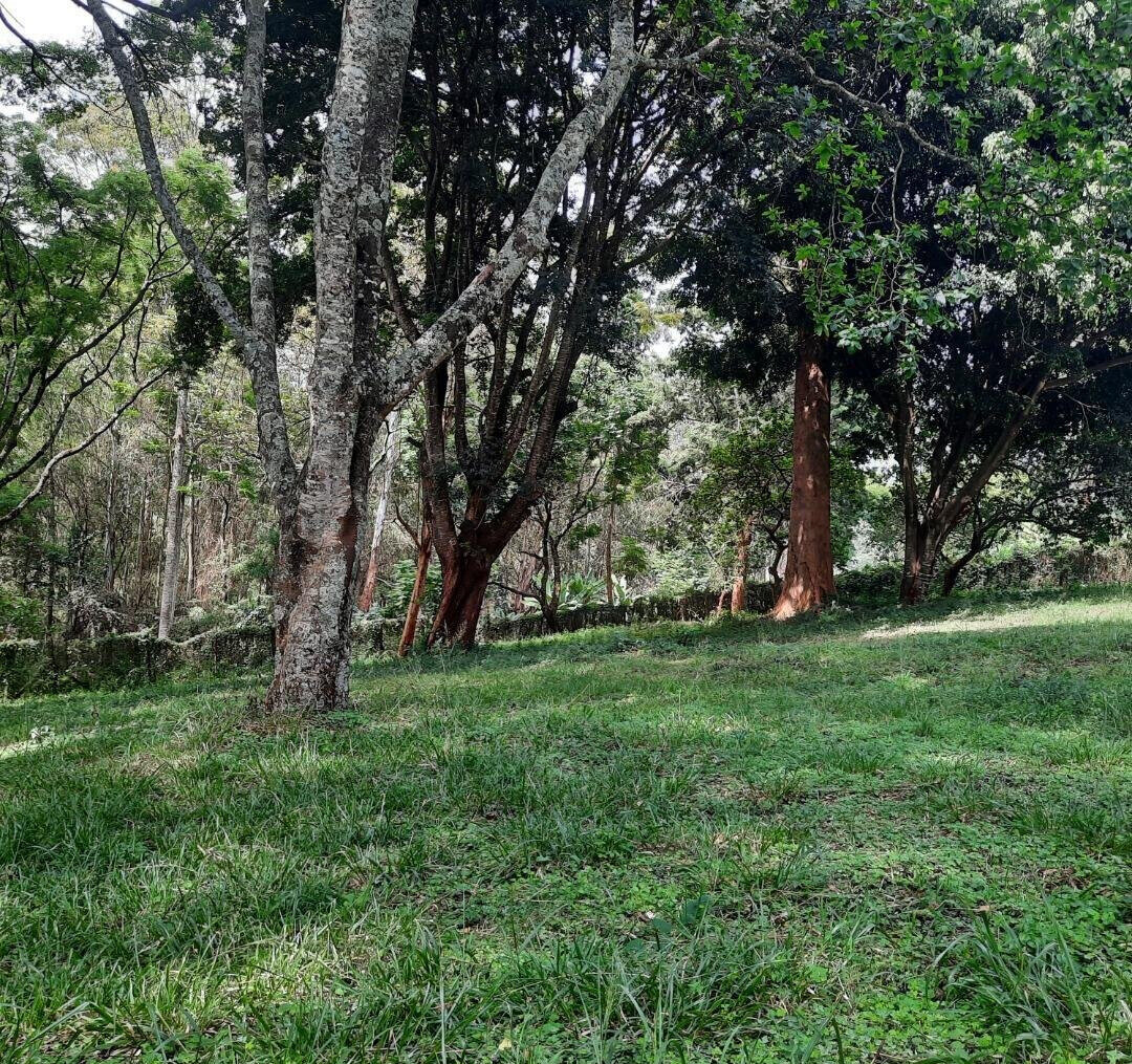 1-Acre Muthaiga Plot at KSh 175M