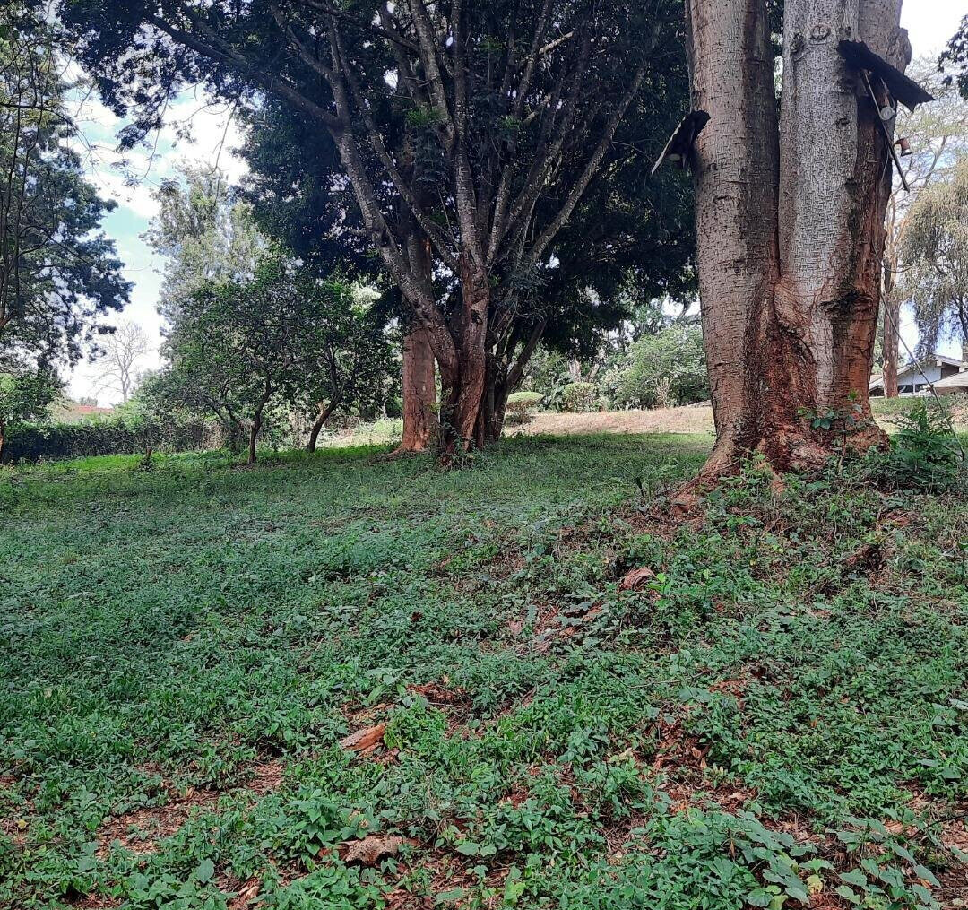 1-Acre Muthaiga Plot at KSh 175M