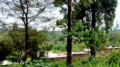 Prime40 by 60ft Plot for Sale in Kikuyu,Gitaru - Image 7