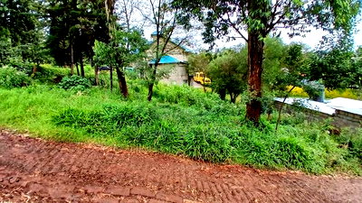 Prime40 by 60ft Plot for Sale in Kikuyu,Gitaru - Image 3
