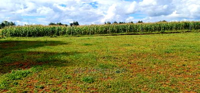 1/4 Plot for Sale in Illula Eldoret - Image 2