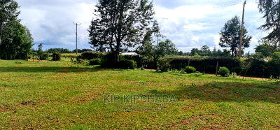 1/4 Plot for Sale in Illula Eldoret - Image 4