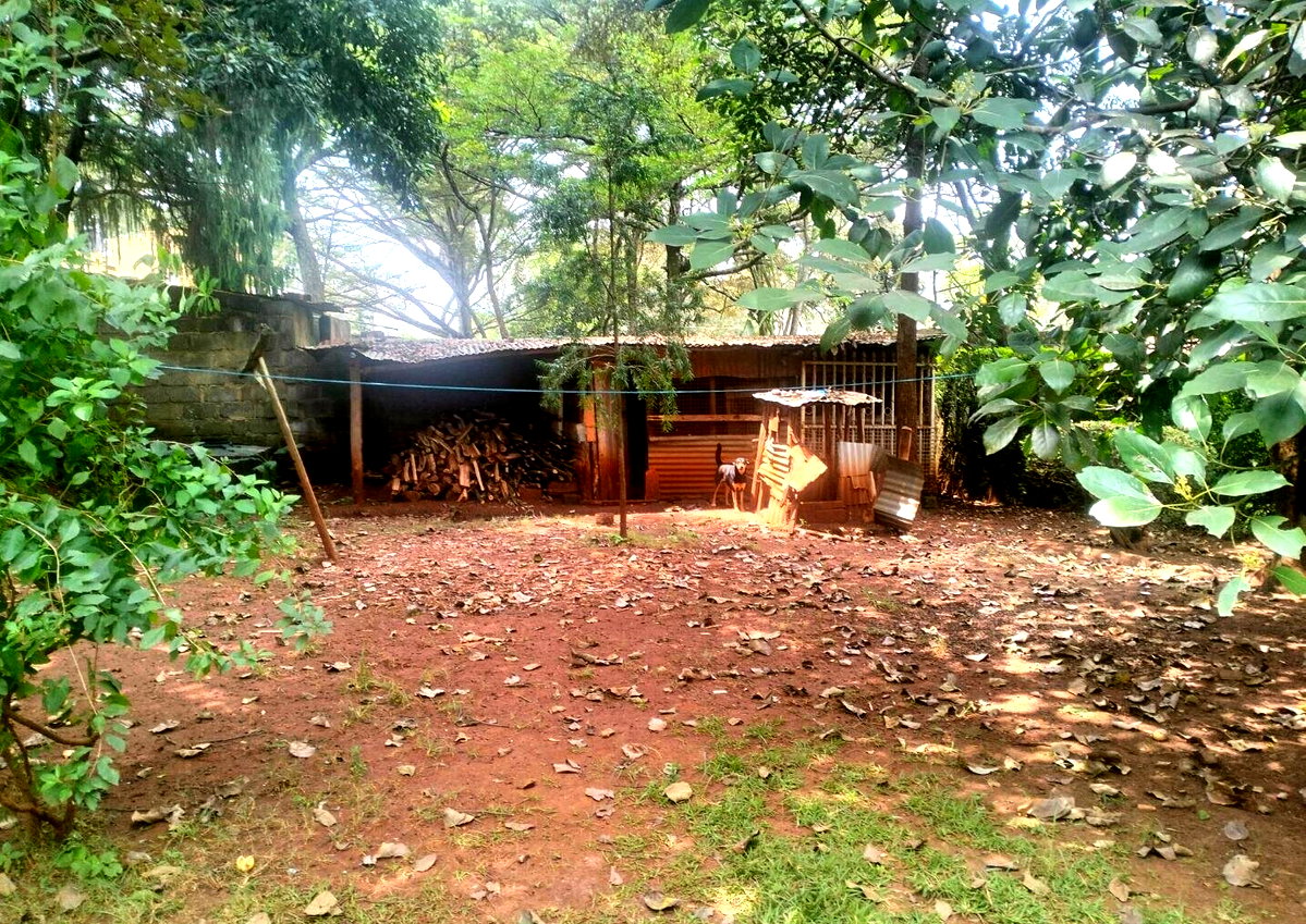 5-Acre Plot at KSh 4K