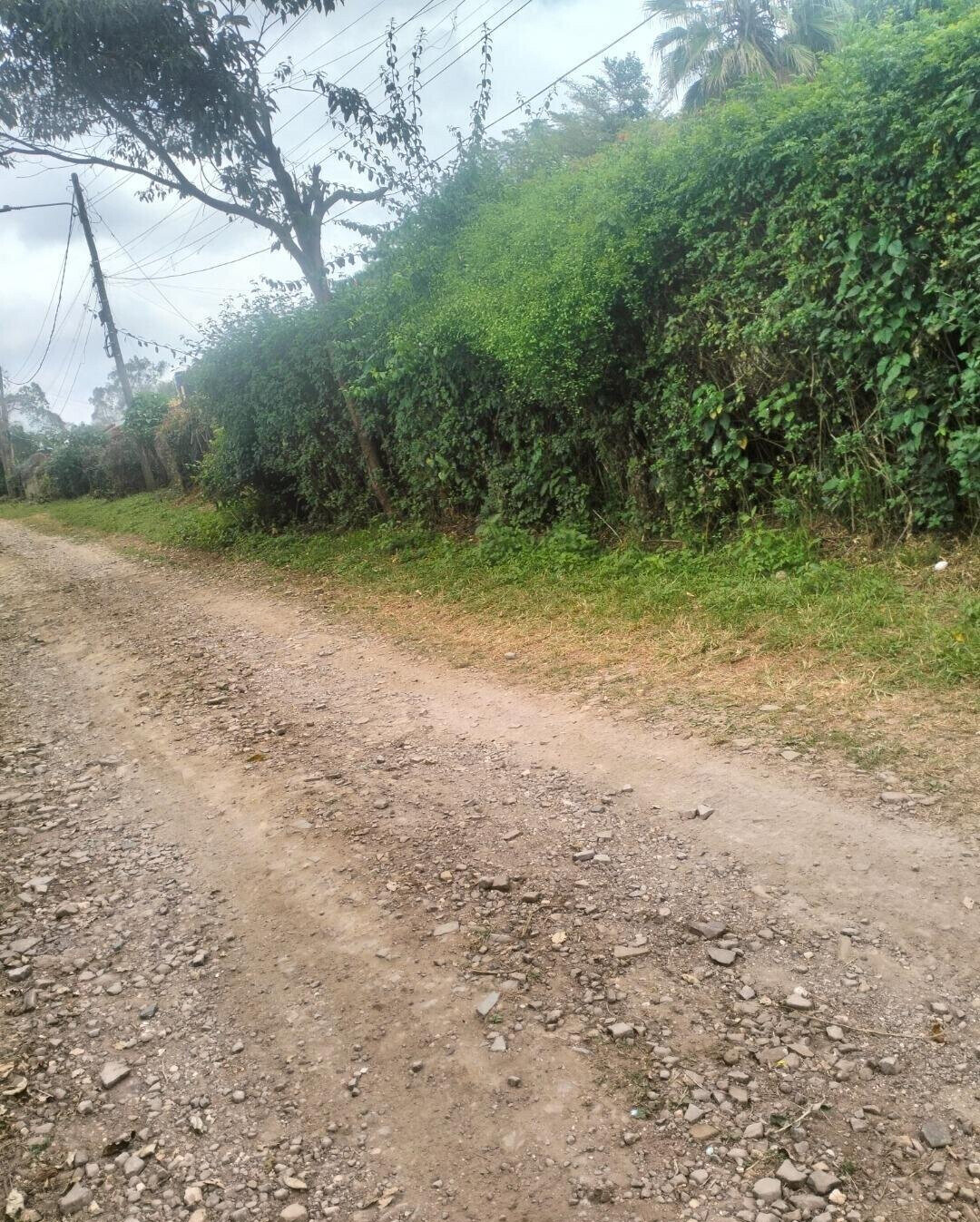 5-Acre Plot at KSh 4K