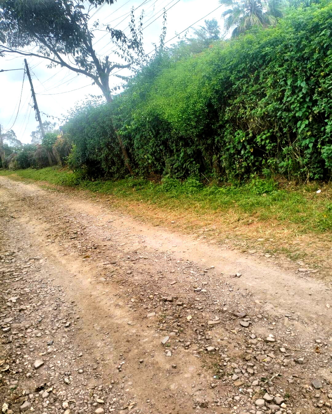 5-Acre Plot at KSh 4K