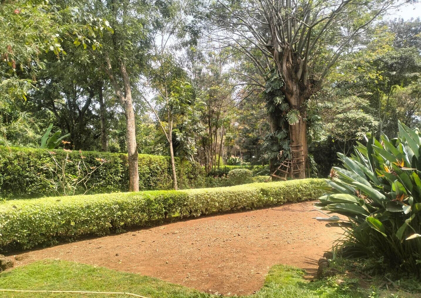 5-Acre Plot at KSh 4K