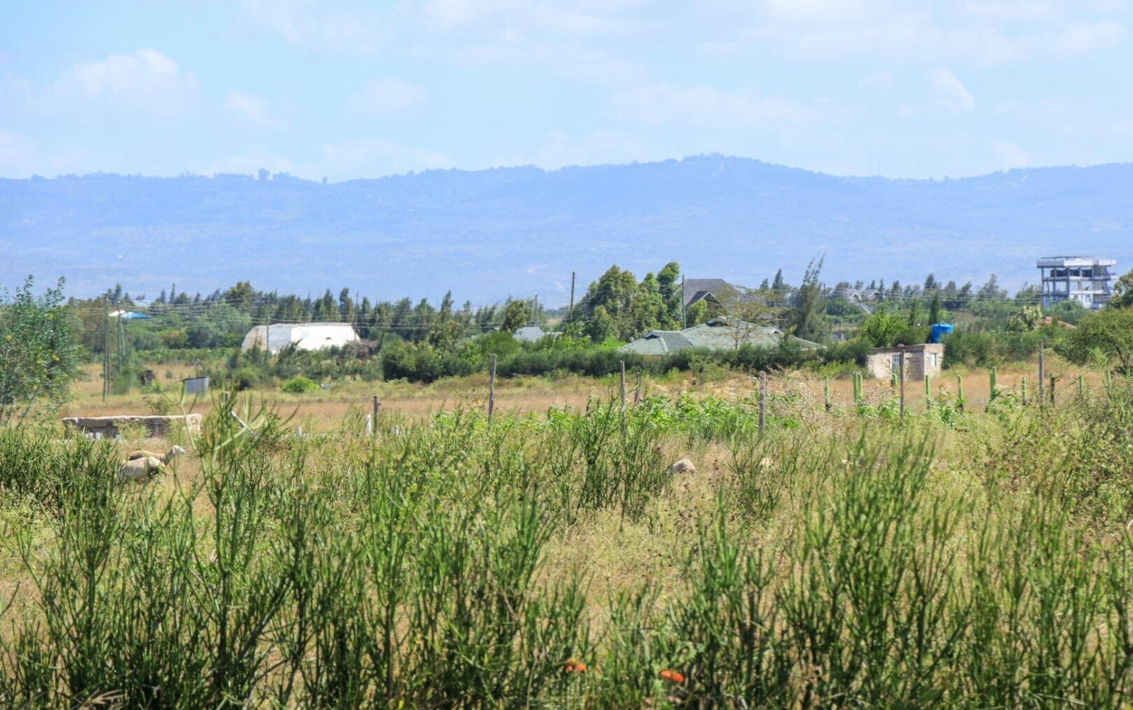 Kitengela Plot for KSh 890K
