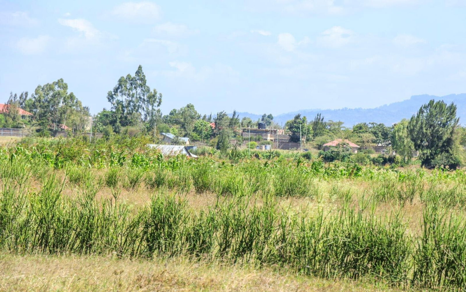 Kitengela Plot for KSh 890K