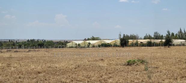 Kitengela Plains Phase 2