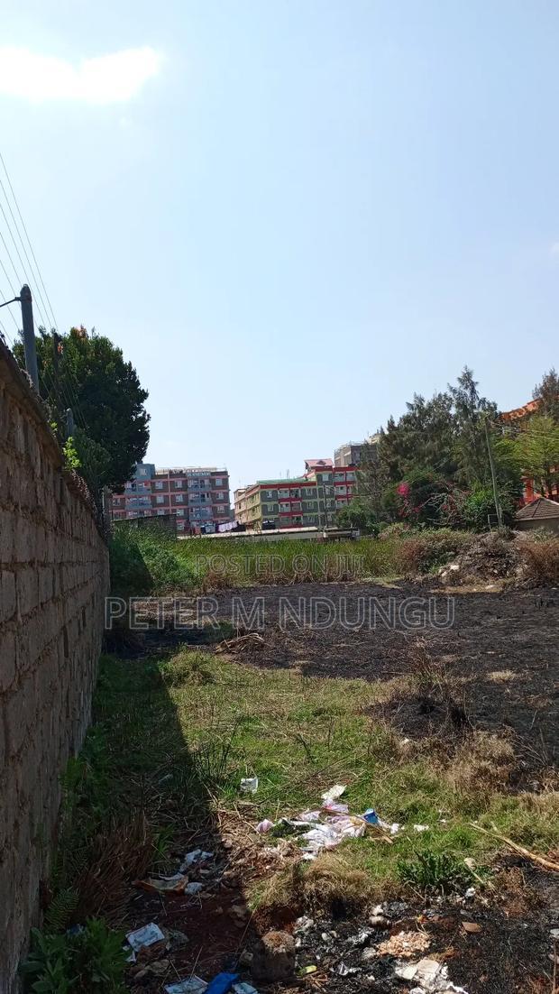 Prime Commercial Plots, 1/4 Acre Kamakis. Green Spot