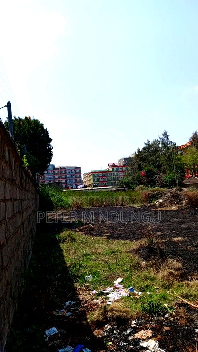 Prime Commercial Plots, 1/4 Acre Kamakis. Green Spot - Image 7