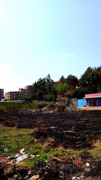 Prime Commercial Plots, 1/4 Acre Kamakis. Green Spot - Image 8