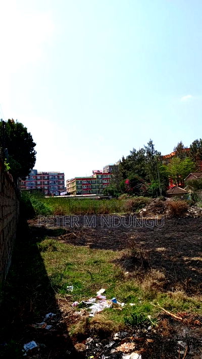 Prime Commercial Plots, 1/4 Acre Kamakis. Green Spot - Image 5