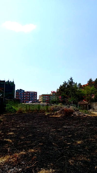 Prime Commercial Plots, 1/4 Acre Kamakis. Green Spot - Image 4