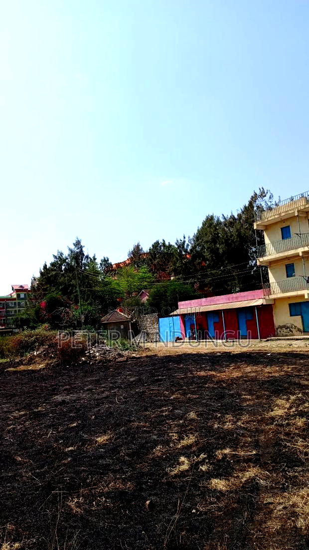 Prime Commercial Plots, 1/4 Acre Kamakis. Green Spot