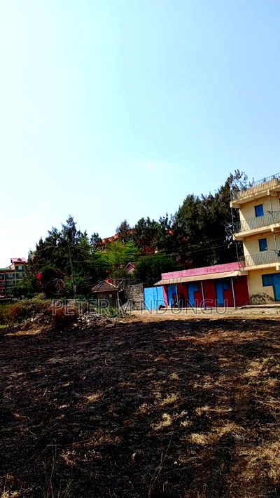 Prime Commercial Plots, 1/4 Acre Kamakis. Green Spot - Image 2