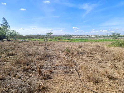 20 Acres Commercial Land - Image 3