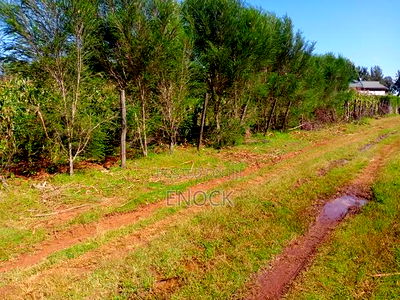 1/8acre Prime Plot in Sogomo Near UOE, Eldoret - Image 2