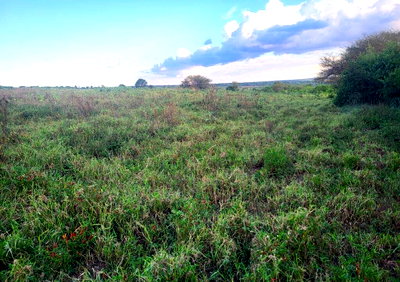 9-Acre Farmland for Rent in Narok