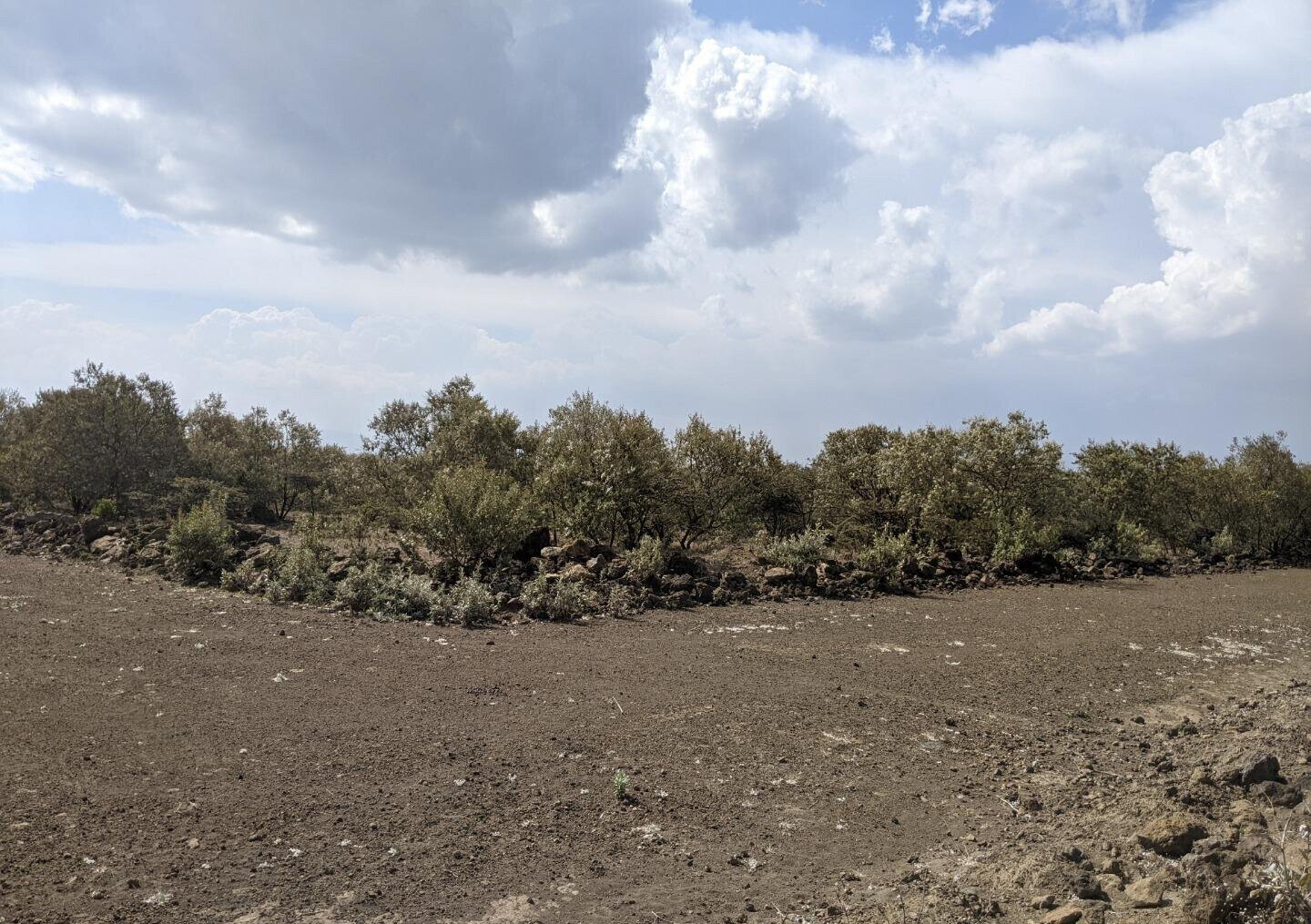 1/2 Acre Corner Plot in Naivasha Gardens