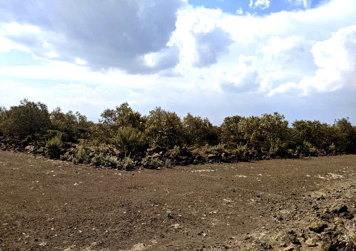 1/2 Acre Corner Plot in Naivasha Gardens