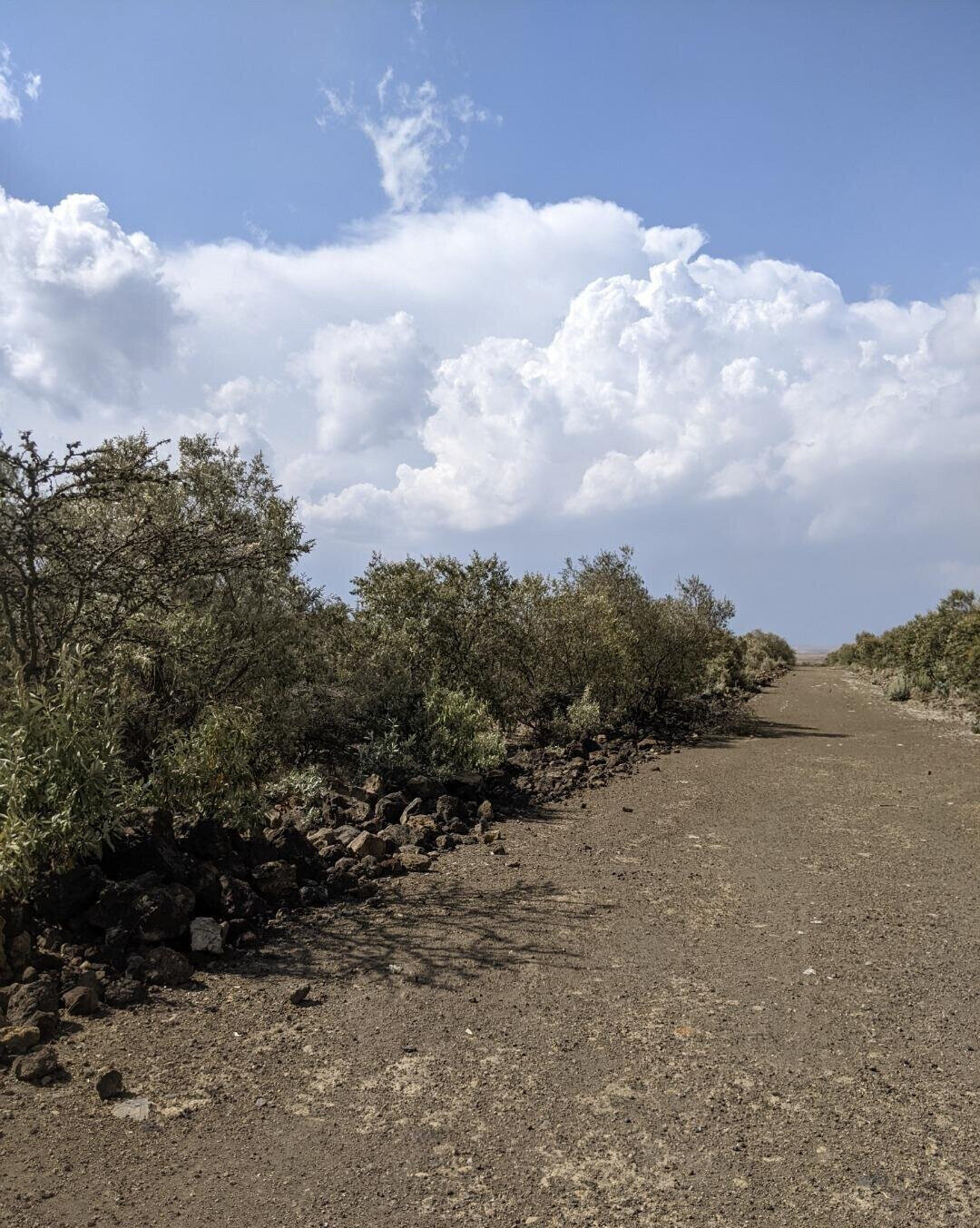 1/2 Acre Corner Plot in Naivasha Gardens