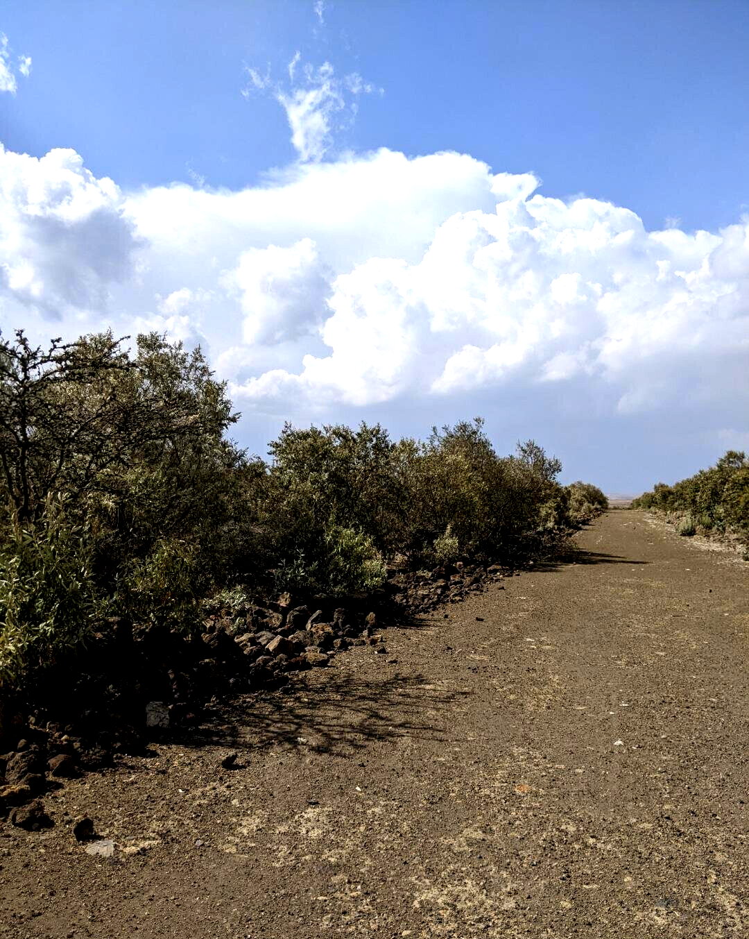 1/2 Acre Corner Plot in Naivasha Gardens