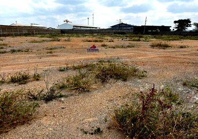 2.5-Acre Industrial Plot with Garden