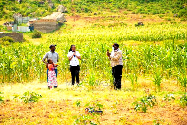 Nakuru Affordable Plots at Kikopey Area