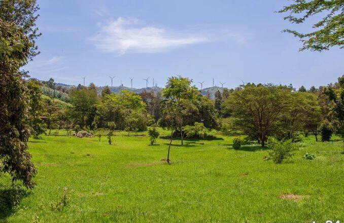 1/4 Acre Plot Under 8M