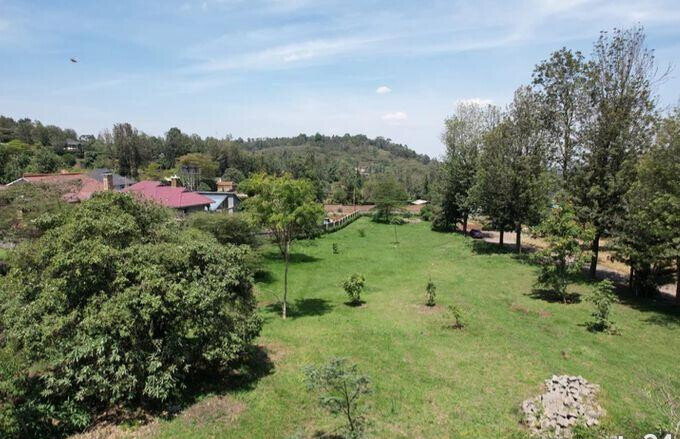 1/4 Acre Plot Under 8M