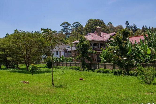 1/4 Acre Plot Under 8M