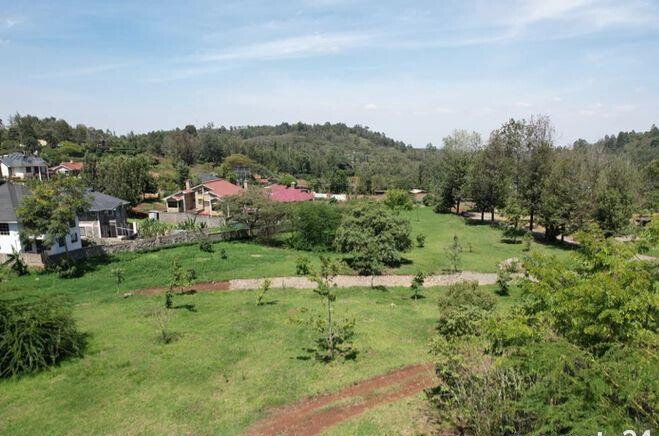 1/4 Acre Plot Under 8M