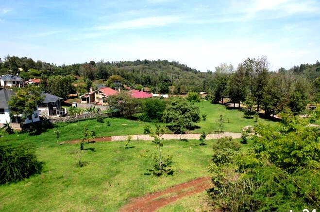 1/4 Acre Plot Under 8M