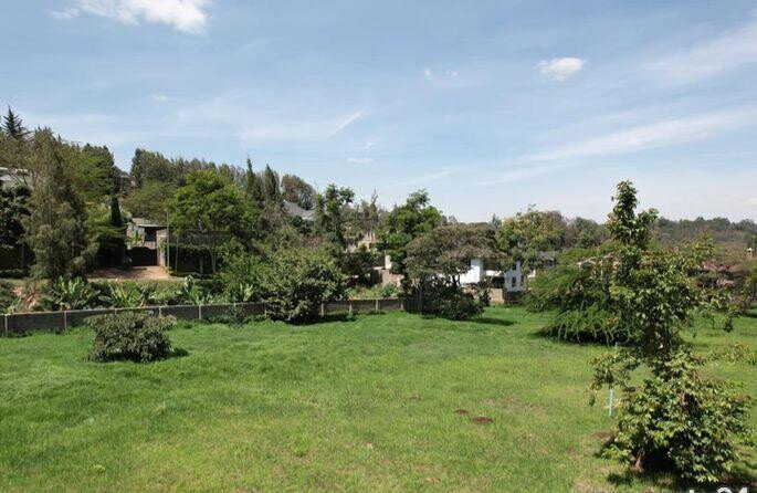 1/4 Acre Plot Under 8M