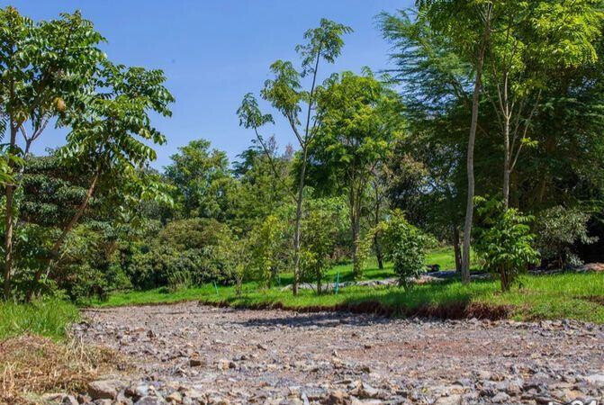 1/4 Acre Plot Under 8M