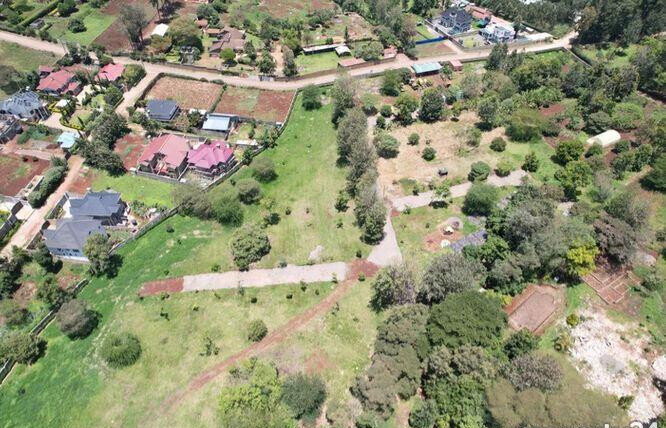 1/4 Acre Plot Under 8M