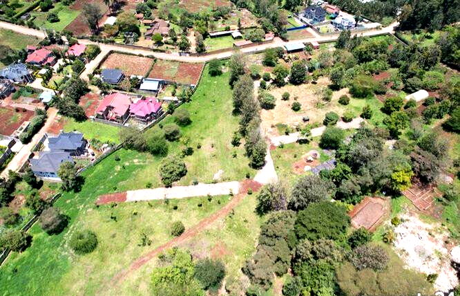 1/4 Acre Plot Under 8M
