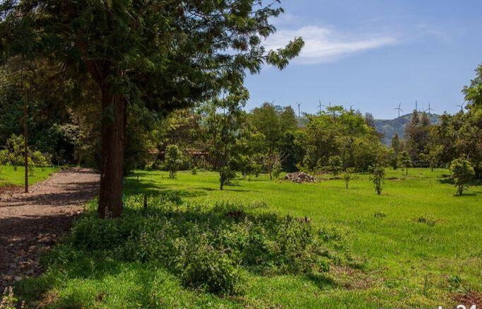 1/4 Acre Plot Under 8M