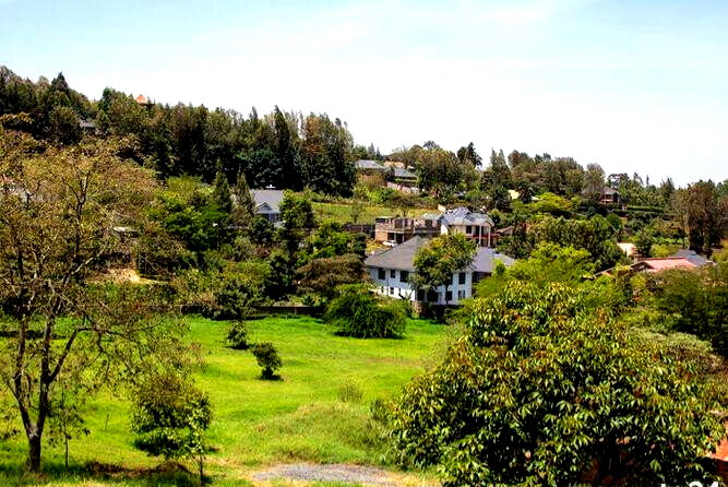 1/4 Acre Plot Under 8M