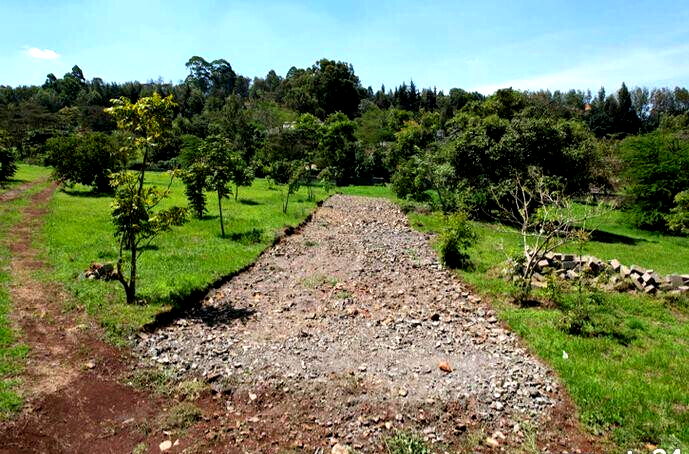 1/4 Acre Plot Under 8M