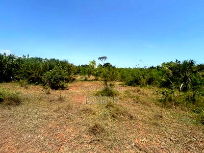 Diani 6.5acres - Image 2
