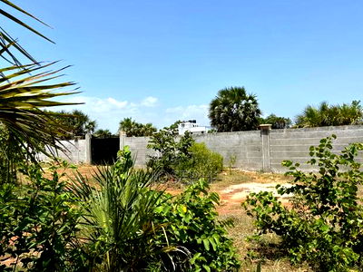 Diani 6.5acres - Image 1